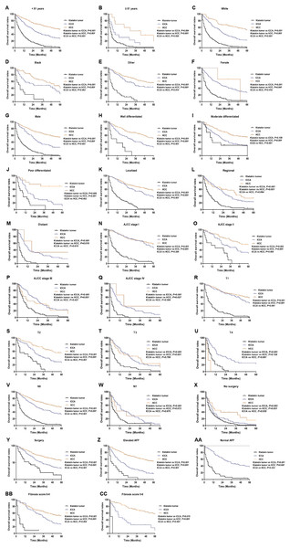 Kaplan–Meier curve of overall survival in Klatskin tumor, ICCA and HCC patients after propensity score matching stratified by (A, B) age at diagnosis; (C-E) race; (F, G) gender; (H-J) primary tumor differential grade; (K-M) SEER historic stage; (N-Q) AJCC stage; (R-U) primary tumor size; (V, W) lymph node status; (X, Y) surgery for primary tumor; (Z, AA) AFP level; (BB, CC) fibrosis score.