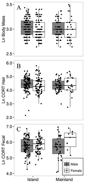 Body mass (A), hair corticosterone (B), and fecal corticosterone metabolites (C) of white-footed mice captured during the summer (July–August) in two consecutive years.