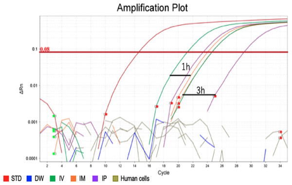 Amplification plot of blood sample and human cells.