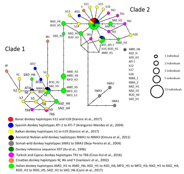 Median-Joining network demonstrating genealogical relations of 71 mitochondrial haplotypes assessed based on the variability of the mtDNA D-loop.