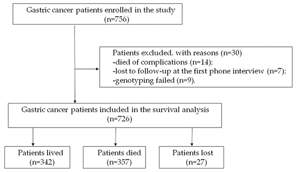 Flow chart of the enrolled subjects.