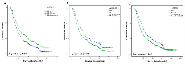 Association of genotypes with overall survival in gastric cancer patients.