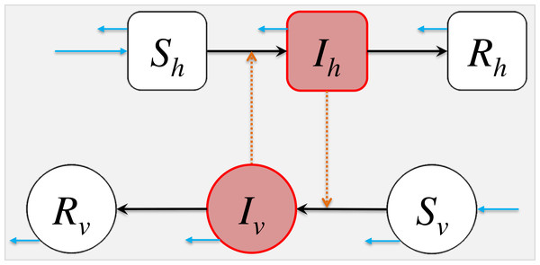 The schematic diagram of model (2).