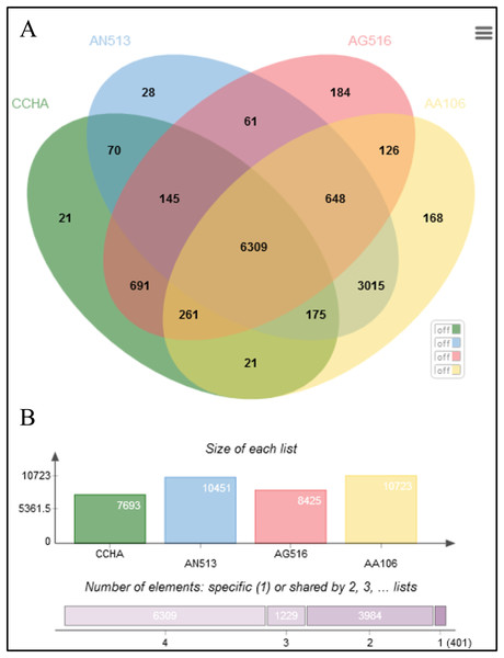 Comparative genome statistics of A. glaucus ‘CCHA’ and others.