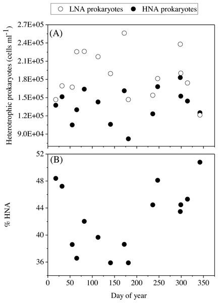 Temporal variability of heterotrophic prokaryotes abundances averaged for the upper 100 m.