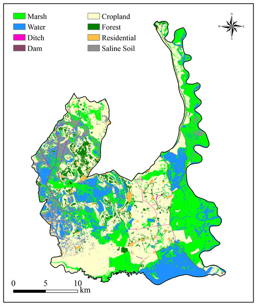 Land use and land cover (LULC) distribution in the Momoge National Nature Reserve, Northeast China.