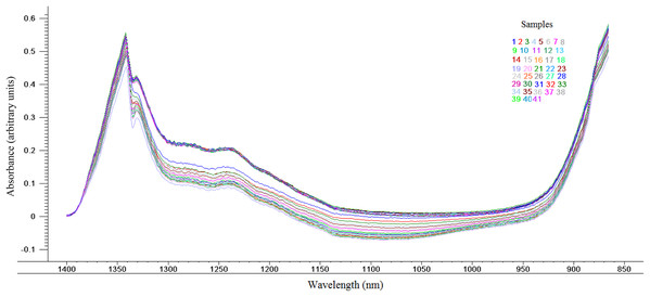 Near infrared spectra between 866 and 1400 nm obtained for the different batches whey of goat cheese (n = 41).