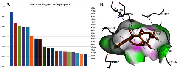 The 19 proteins screened by inverse docking. The docking pose of TPL binding to HSP90.