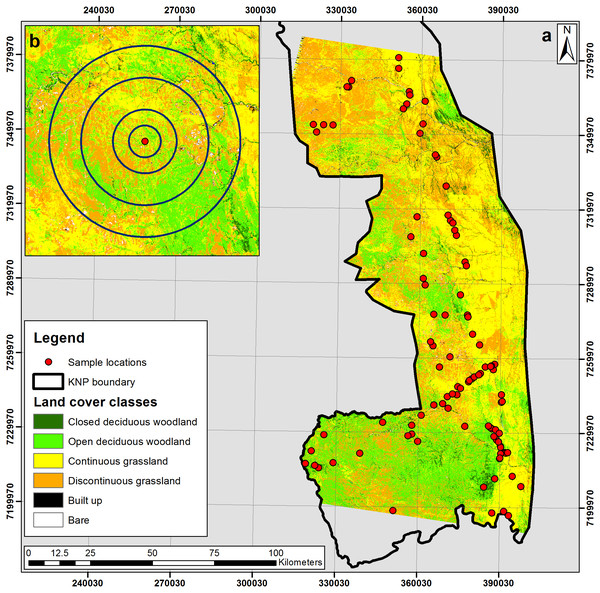 (A) Land cover classification of the southern Kruger National Park study area; and (B) inset image displaying 2 km, 4 km, 8 km and 12 km concentric buffers surrounding an isotope sample location.