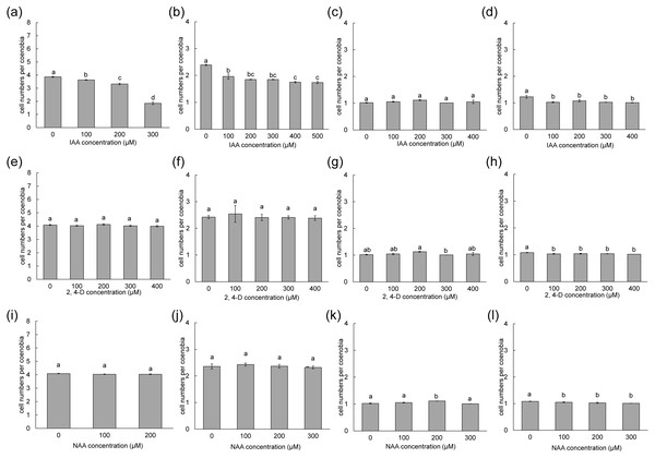 Mean number of cells per coenobium of different Desmodesmus strains cultured at different indole-3-acetic acid (IAA), 2,4-dichlorophenoxyacetic acid (2,4-D), and naphthalene-1-acetic acid (NAA) concentrations.