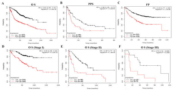 Survive curves evaluating the prognostic value of PKM2 mRNA expression in LUAC.