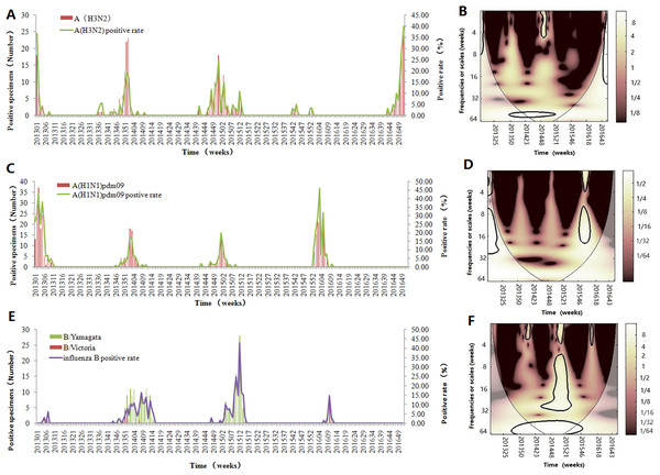 Seasonal distribution and wavelet power spectrum of influenza types or subtypes.