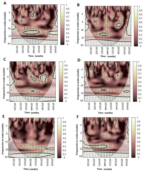 The wavelet transform coherence of influenza virus A(H3N2) and different climate parameters.