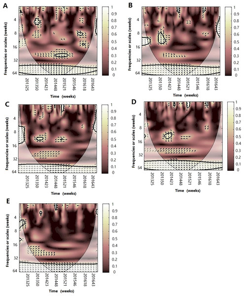 The wavelet transform coherence of influenza virus B and different climate parameters.
