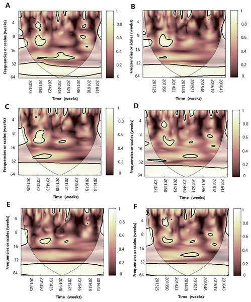 Multiple wavelet coherence of influenza virus B and climate factors.