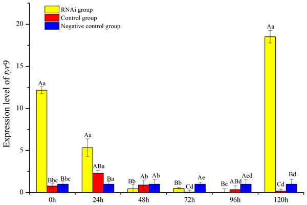 Analysis of expression difference of different times under RNA interference of R. philippinarum.