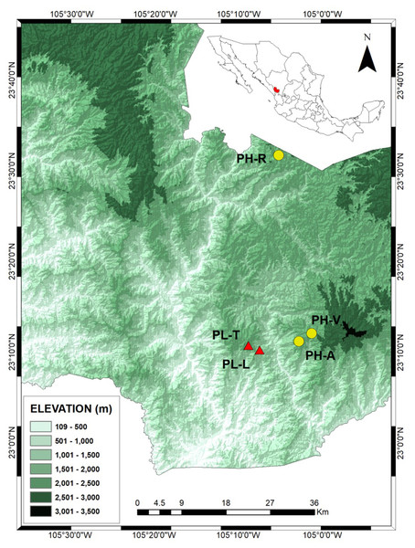 Locations of the Pinus herrerae (yellow circles) and Pinus luzmariae stands (red triangles) in the State of Durango, Northwest Mexico.