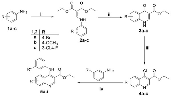 Synthesis of target quinolines 5a-i.
