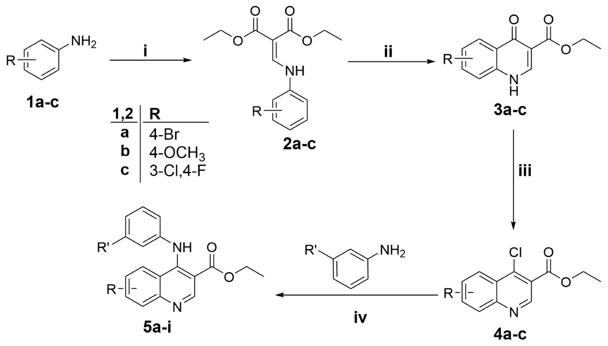 Synthesis and biological evaluation of small molecule modulators 