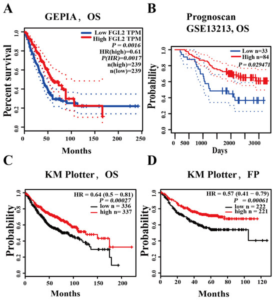 The prognostic value of FGL2 in lung adenocarcinoma.