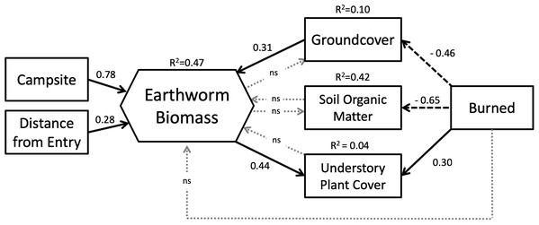 Structural equation model representing the relationships between study variables and earthworm biomass.