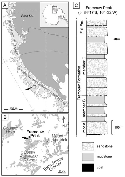 Geographic occurrence and stratigraphic position of the Fremouw Peak permineralized peat; modified from Fig. 1 in “Habit and ecology of the petriellales, an unusual group of seed plants from the Triassic of Gondwana” by Bomfleur et al. (2014)©2014 by The University of Chicago. All rights reserved.