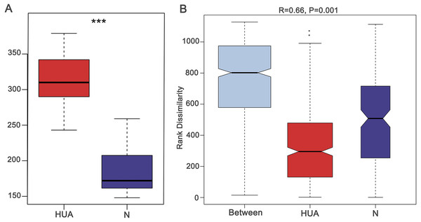 Validating the HUA model and grouping of experimental animals.