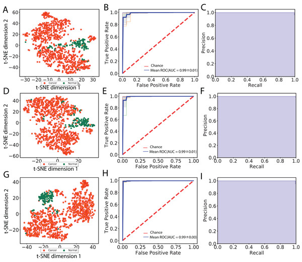 Visualization of extracted image features and classification between cancer and normal samples.