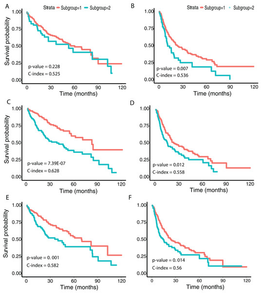 Survival analysis from discovered subgroups.