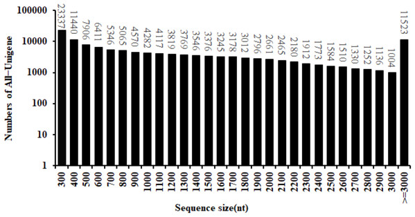 Length distribution of All-Unigene in safflower transcriptome.