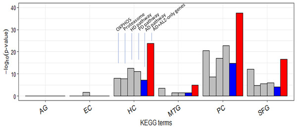 Enrichment of curated DEG sets in five key KEGG pathways.