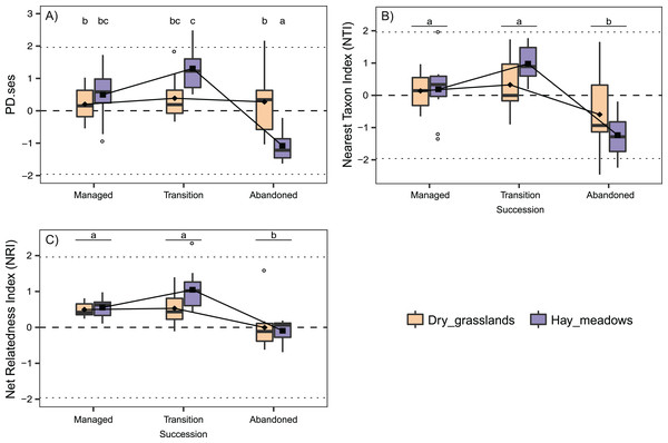 Interaction plots for the variation in phylogenetic α-diversity of the 60 sampled plots according to Habitat and Succession evaluated excluding from the analyses the species Juniperus communis.