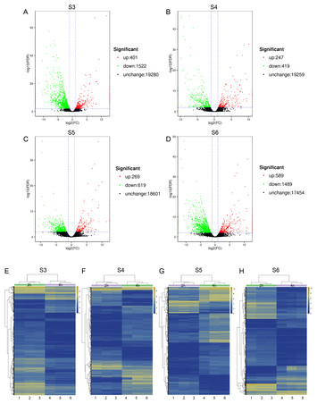 Comparative transcriptomic analyses of chlorogenic acid and ...