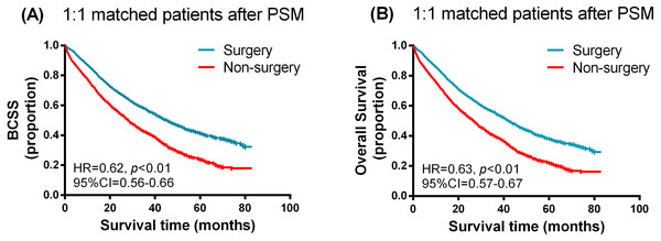Kaplan–Meier curves of breast cancer specific survival (A) and overall survival (B) in the surgery and non-surgery groups after propensity score matching.