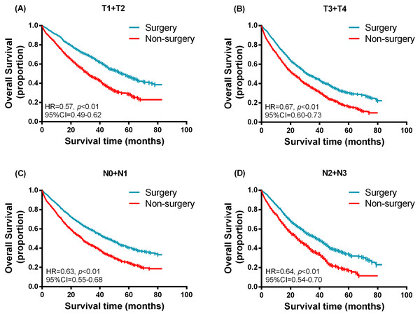 Kaplan–Meier curves of overall survival in the surgery and non-surgery groups stratified by different tumor size and nodal status.