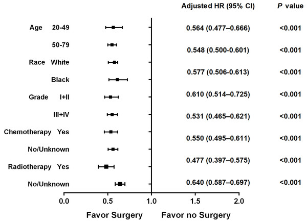 Forest plot of overall survival in the surgery and non-surgery groups stratified by age, race, histology grade, chemotherapy status and radiotherapy status.