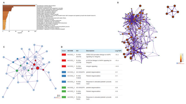 The enrichment analysis of EMILIN/Multimerin family members and neighboring genes in LGG (metascape).