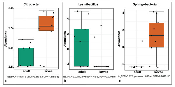 Comparative abundance of (A) Citrobacter, (B) Lysinibacillus and (C) Sphingobacterium between adults and larvae of S. frugiperda.