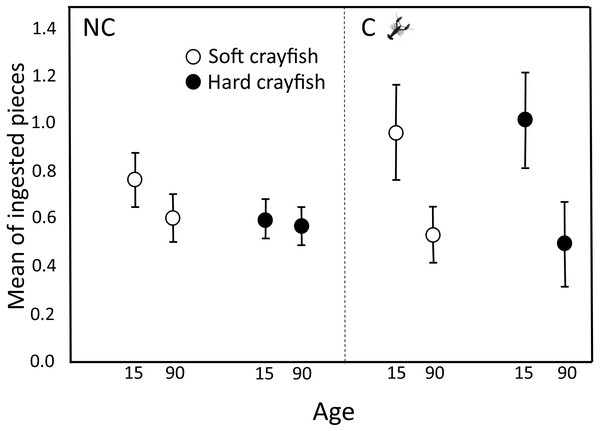 Ingested pieces of soft and hard crayfish by 15- and 90-day-old neonates from non-crayfish-eating (NC) and crayfish-eating (C) T. melanogaster populations.