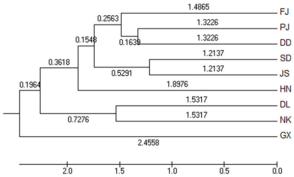 The unweighted pair group method with anarithmetic mean (neighbor-joining) dendrogram based on DC distance among the nine populations of Meretrix petechialis.