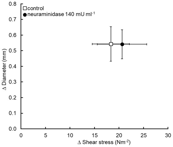 Removal of glycocalyx sialic acid residues using the enzyme neuraminidase did not cause a significant reduction in flow mediated dilation (n = 5 pigs).