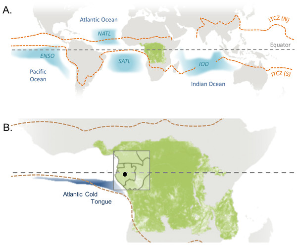 Global climatic influences on western equatorial Africa.