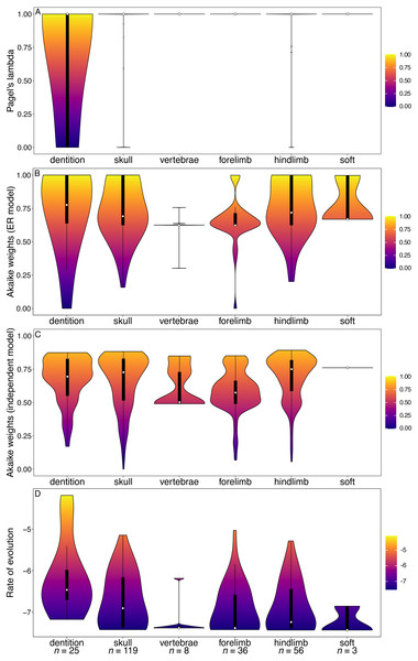 Violin plots illustrating results from the Bi et al. (2014) character matrix (total Mammalia).