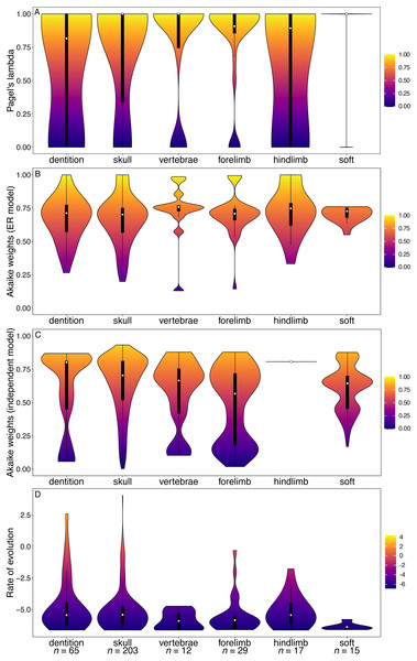 Violin plots illustrating results from the Spaulding, O’Leary & Gatesy (2009) matrix (Artiodactyla).