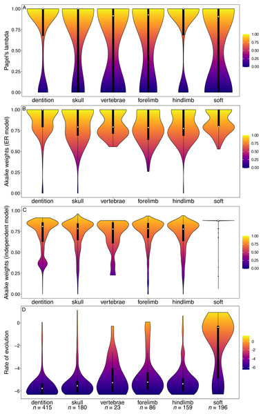 Violin plots illustrating results from the Ni et al. (2013) matrix (Primates).