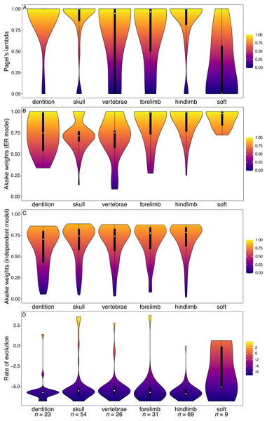 Violin plots illustrating results from the Beck (2017) matrix (Marsupialia).