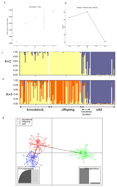 Bayesian STRUCTURE clustering results of microsatellite variation among the three populations using the full dataset (14 markers).