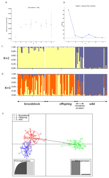 Bayesian STRUCTURE clustering results of microsatellite variation among the three populations using the neutral dataset (13 markers).