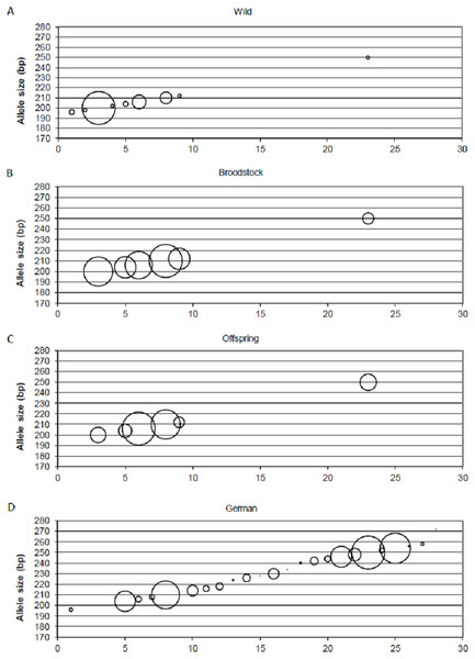 Changes in the allele frequencies of MSL-9 locus in the three populations.