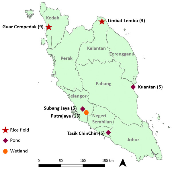 Geographical location of study sites in Peninsular Malaysia where specimens were collected.